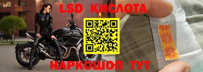 гашик Будённовск