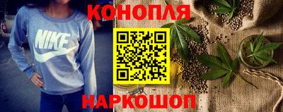 гашик Будённовск
