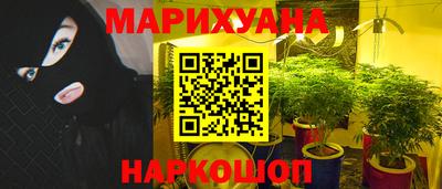 стаф Бугуруслан
